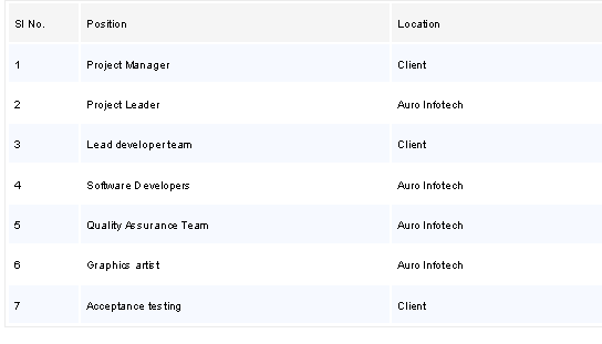 team structure